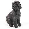 Labradoodle | Zwart