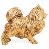 Pomeriaan | Goud