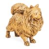 Pomeriaan | Goud