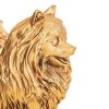 Pomeriaan | Goud