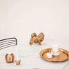 Pomeriaan | Goud